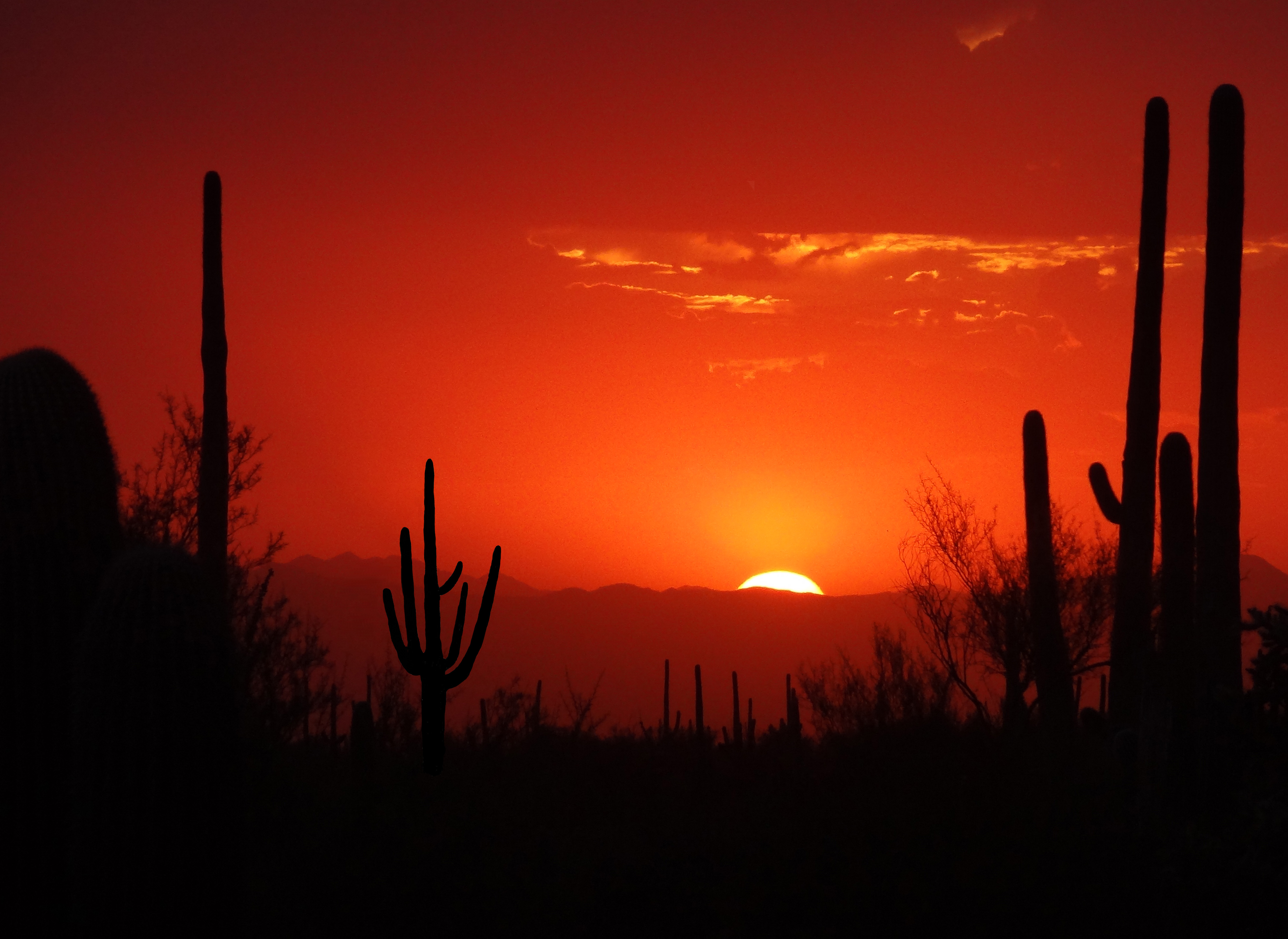 Fiery Sunset Sky | Shutterbug